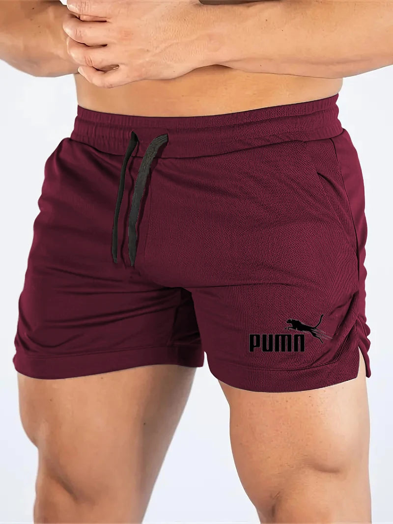 Men's Summer Mesh Quick - Dry Short Lightweight Breathable Sport Shorts for Gym , Beach & Outdoor Running