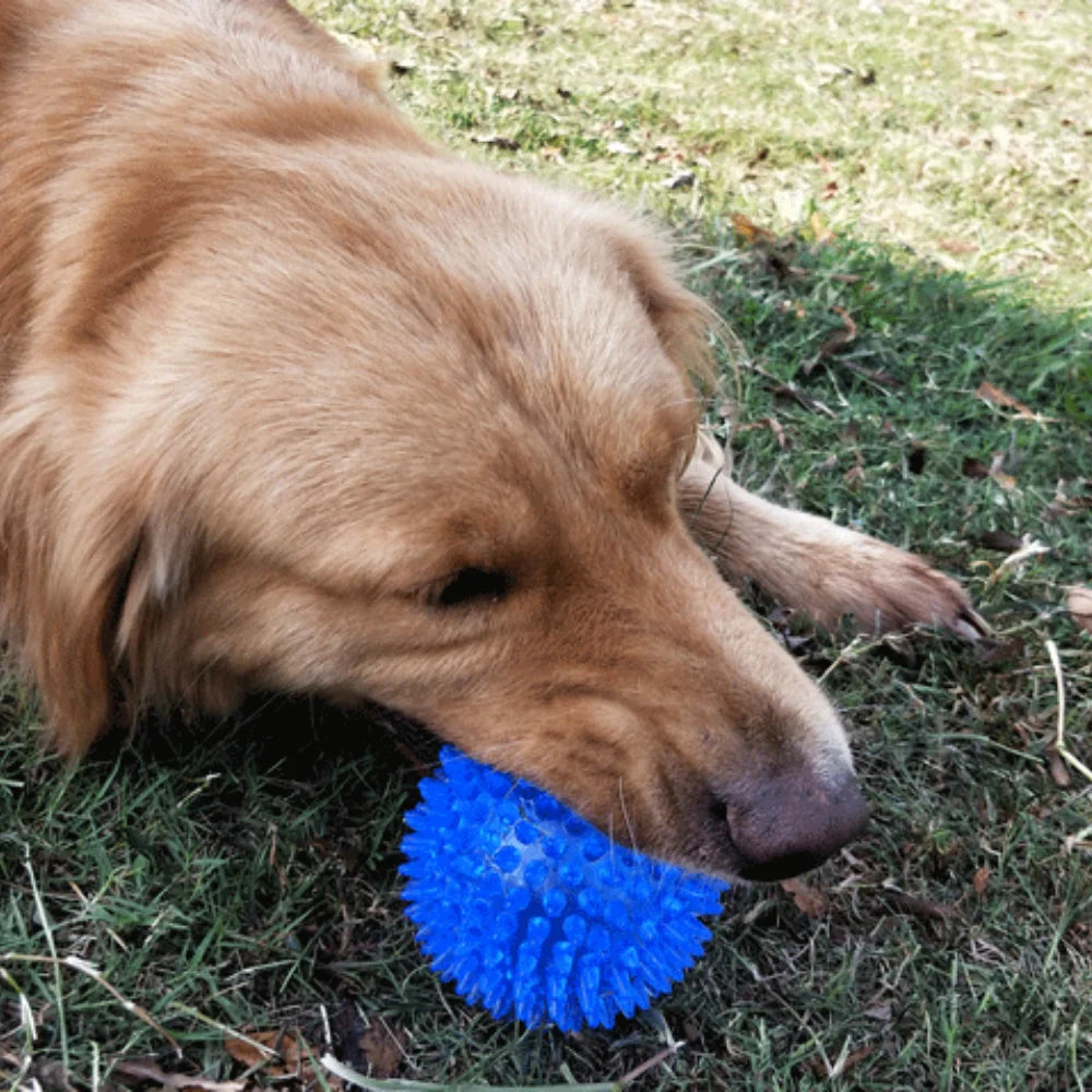 Dog Chew Ball Toy