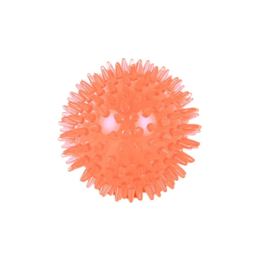 Dog Chew Ball Toy