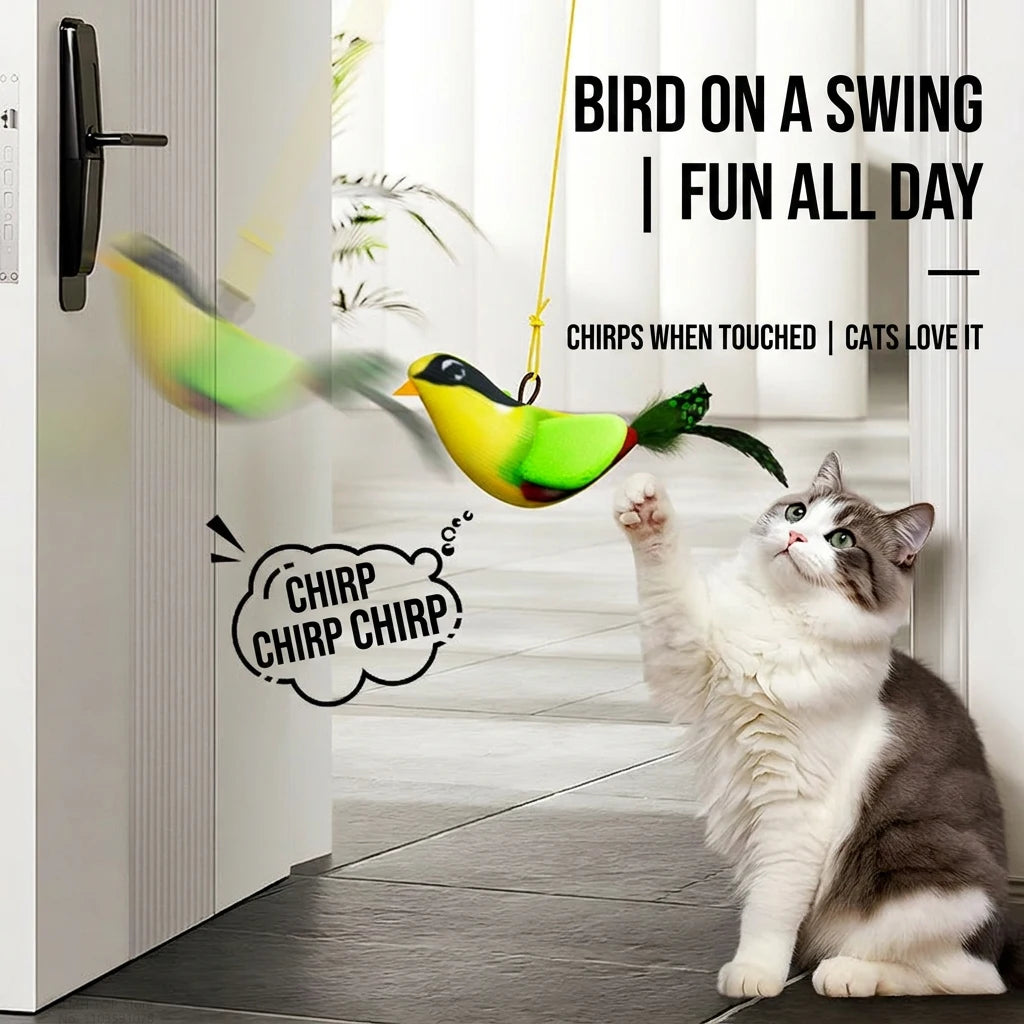 Indoor Iterative Bird Toy for cats & Dogs Self -Play Wall Hanging Catnip Teaser Toy