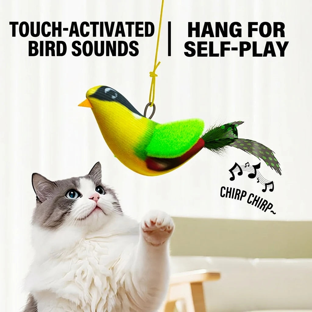 Indoor Iterative Bird Toy for cats & Dogs Self -Play Wall Hanging Catnip Teaser Toy