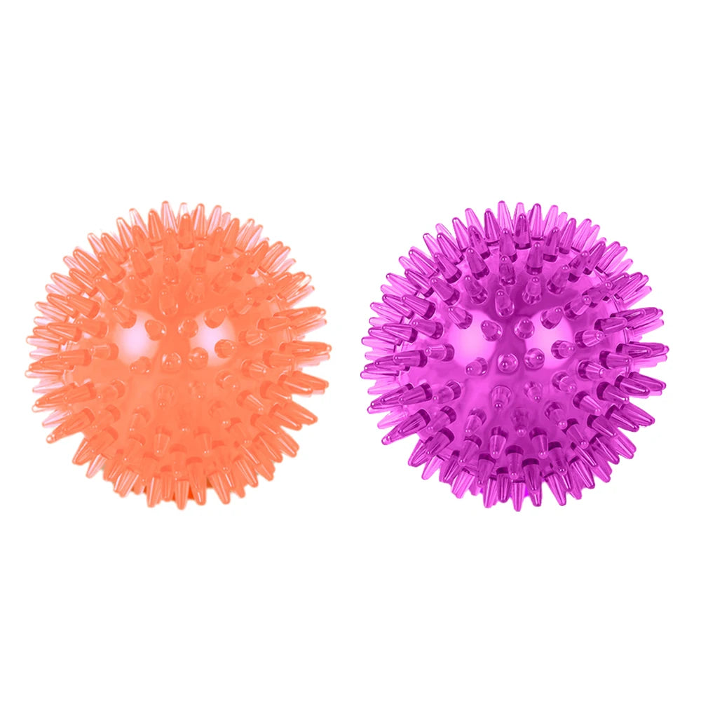 Dog Chew Ball Toy