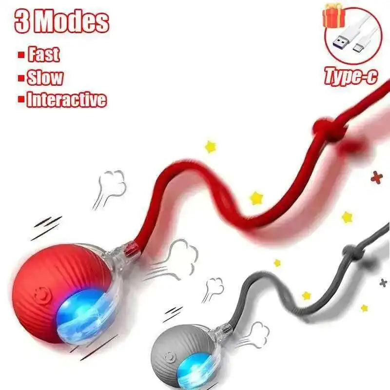 Smart Dog Interactive Ball Toy- Automatic Rolling Electric Ball for Dogs & Cats