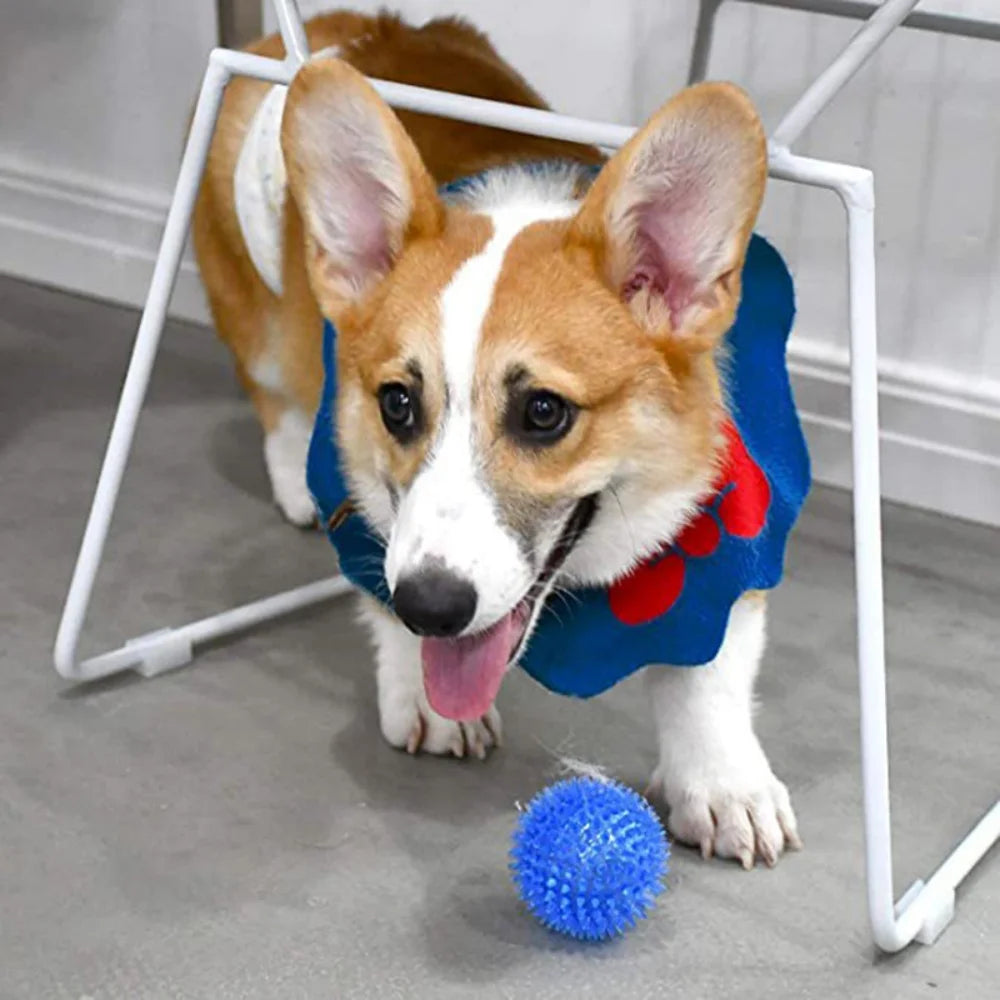 Dog Chew Ball Toy