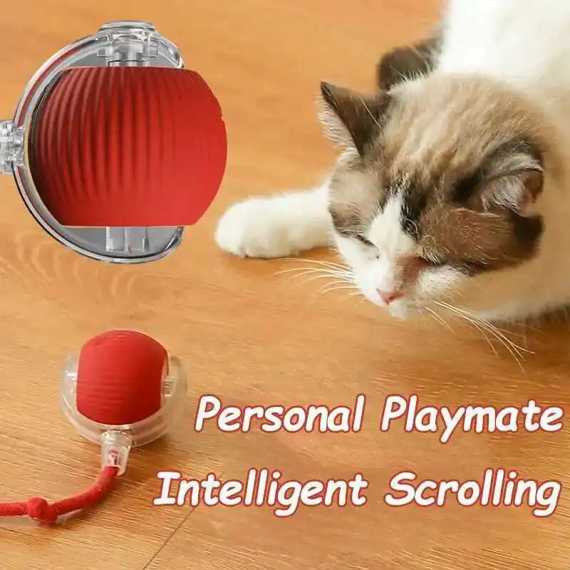 Smart Dog Interactive Ball Toy- Automatic Rolling Electric Ball for Dogs & Cats