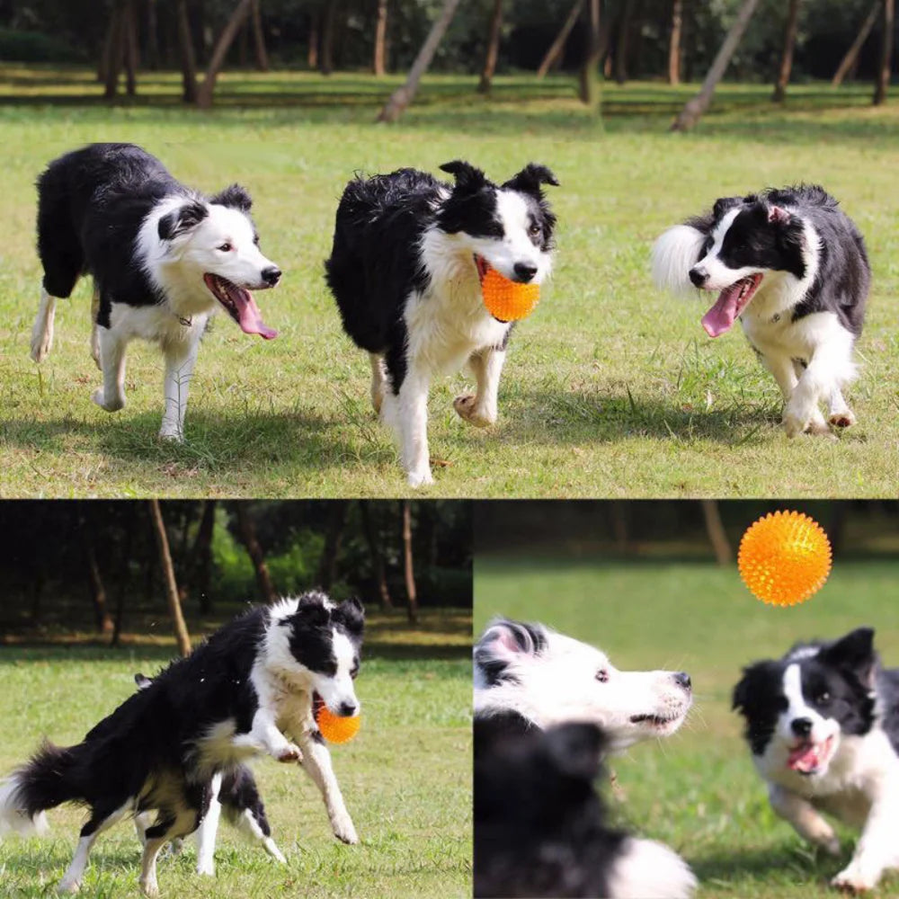 Dog Chew Ball Toy