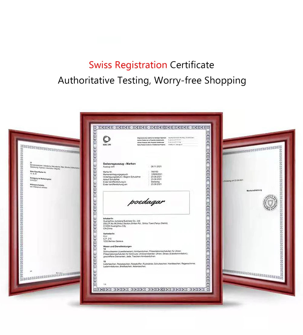 POEDAGAR Men's Luxury Watch -Luminous Waterproof Stainless Steel