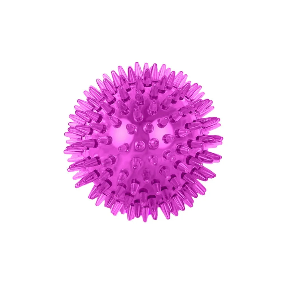 Dog Chew Ball Toy