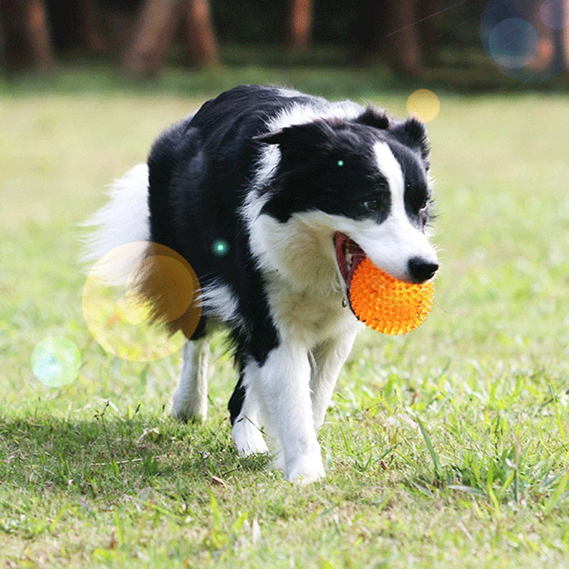 Dog Chew Ball Toy