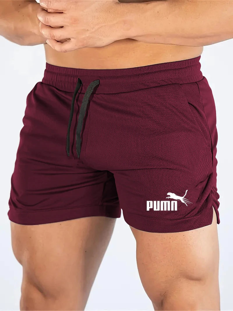 Men's Summer Mesh Quick - Dry Short Lightweight Breathable Sport Shorts for Gym , Beach & Outdoor Running