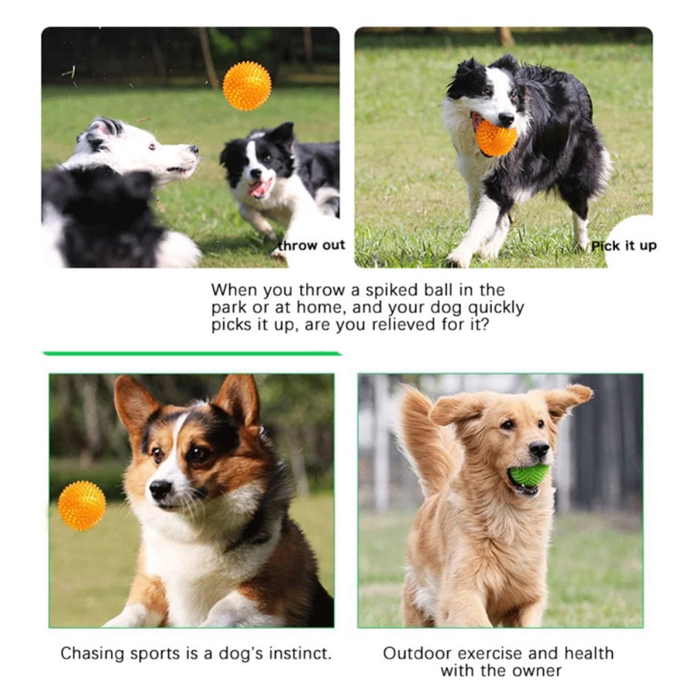 Dog Chew Ball Toy