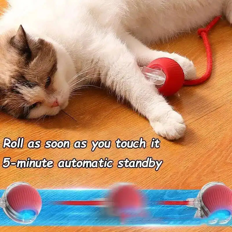 Smart Dog Interactive Ball Toy- Automatic Rolling Electric Ball for Dogs & Cats