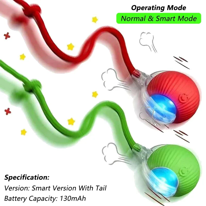 Indoor Iterative Bird Toy for cats & Dogs Self -Play Wall Hanging Catnip Teaser Toy