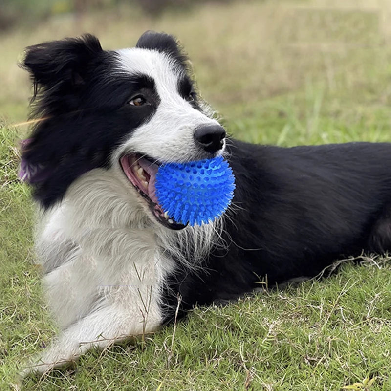 Dog Chew Ball Toy