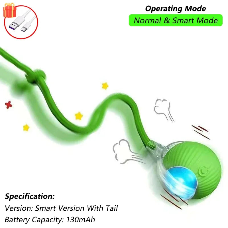 Indoor Iterative Bird Toy for cats & Dogs Self -Play Wall Hanging Catnip Teaser Toy