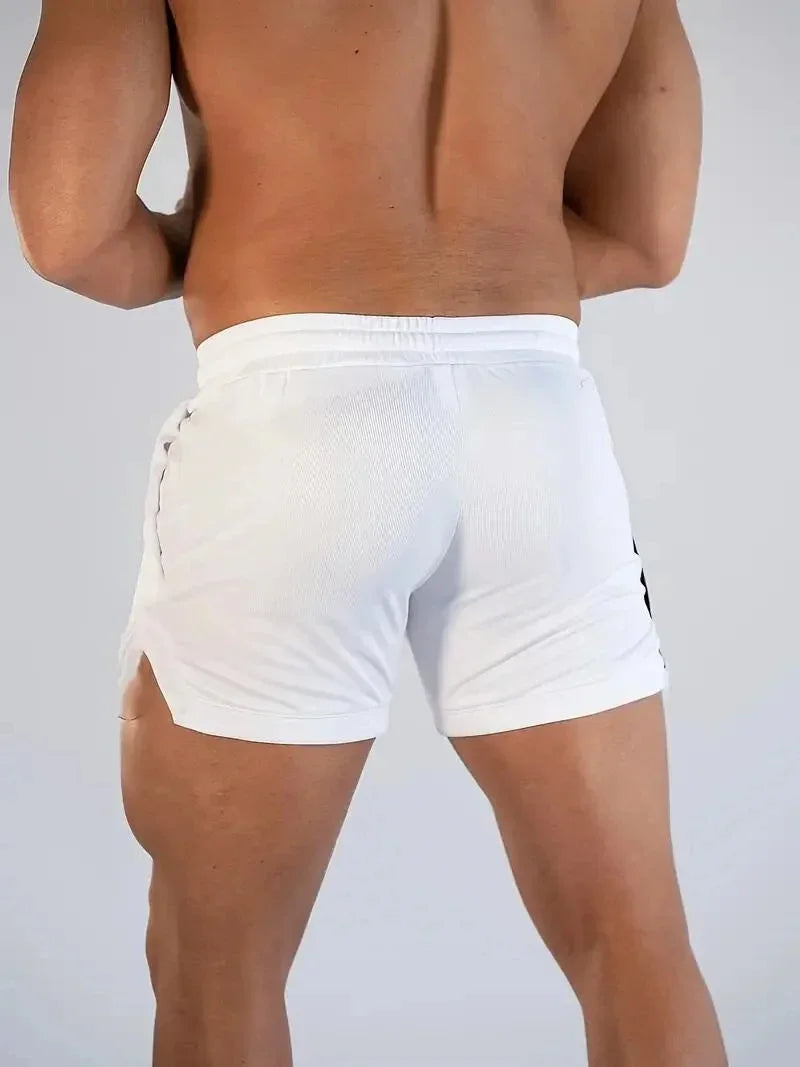 Men's Summer Fitness Shorts Gym & Sport Training Shorts