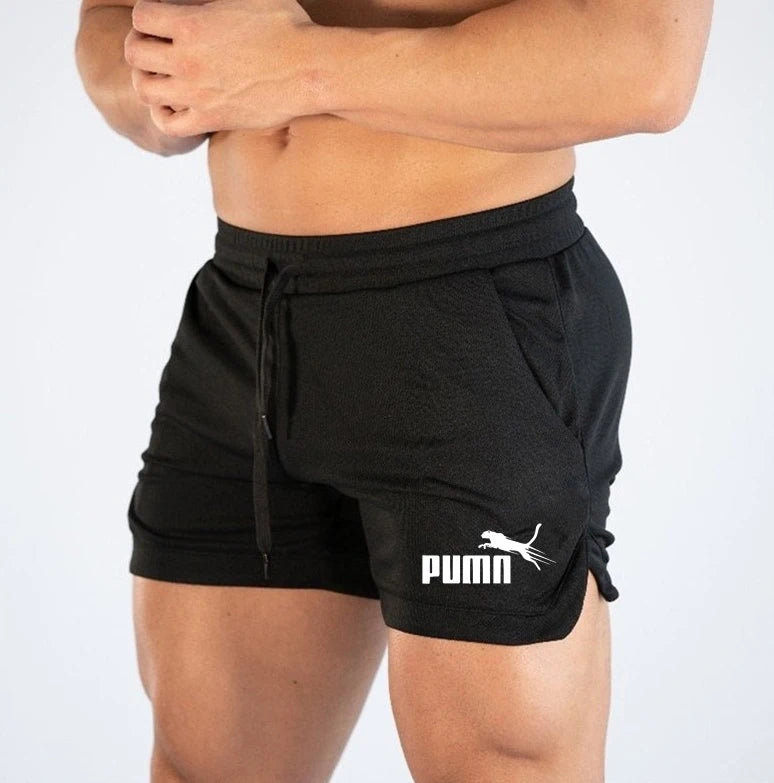 Men's Summer Mesh Quick - Dry Short Lightweight Breathable Sport Shorts for Gym , Beach & Outdoor Running