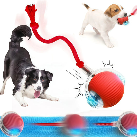 Smart Dog Interactive Ball Toy- Automatic Rolling Electric Ball for Dogs & Cats